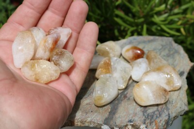 Tumbled Citrine - Beautiful Coloring 1/2 LB (8oz.) Exact Lot US Seller! #0516D