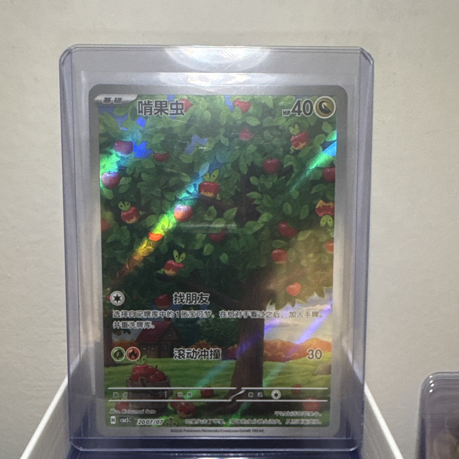 Applin 2007/07 Chinese Holo Pokemon TCG Card( US Seller )