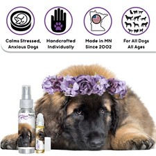 Leonberger Relax Dog Aromatherapy Soothes Anxious, Frightened, Terrified Dogs