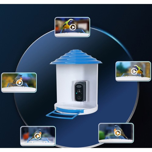 4G Bird Feeder Camera LTE Sim Card 2MP 1080p HD Solar Power Night Vision PIR - Picture 10 of 12