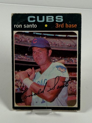Ron Santo #220 card