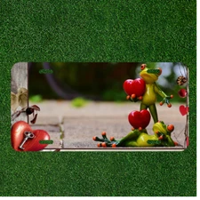 Custom Personalized License Plate Auto Tag With Frog With Hearts Design