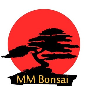 MM Bonsai | eBay.de Shops
