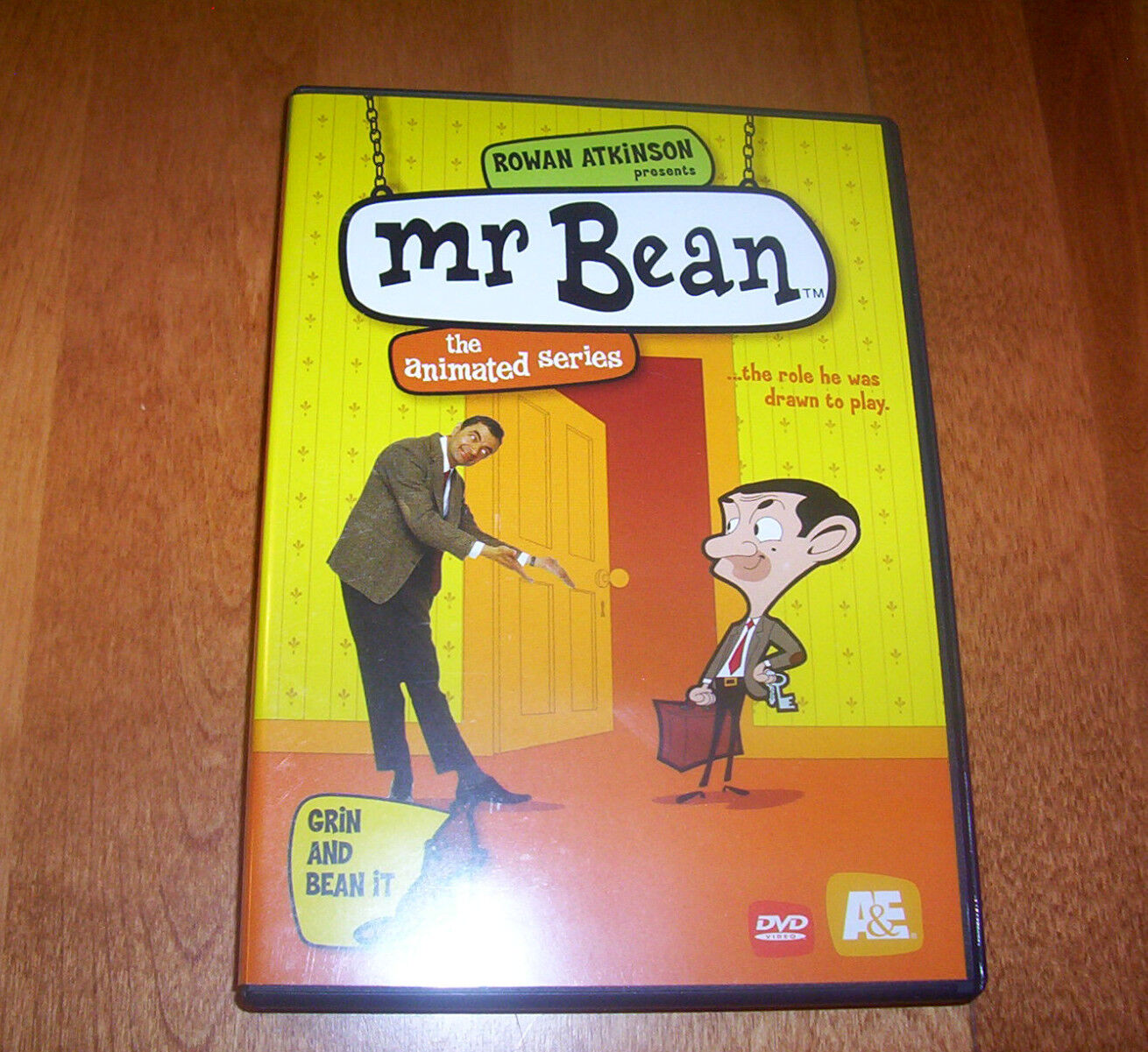 MR. BEAN Animated Comedy Series Classic TV A&E Grin and Bean It 4 Episodes  DVD 733961713237 | eBay