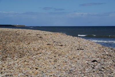 Photo A2 Castle Point Holy Island/NU1241 Looking up the eastern side of c2013