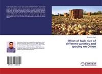 Munendra Singh | Effect Of Bulb Size Of Different Varieties And Spacing On Onion
