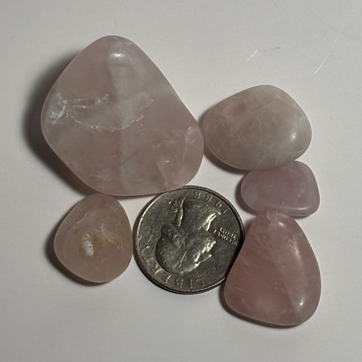 Lot of 5 Rose Quartz Tumbled Polished Crystal Stones Crystals