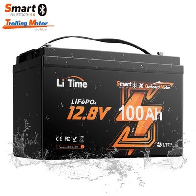 LiTime LiFePO4 12V 100Ah OBM Bluetooth Lithium Batterie für Solar Wohnmobil Boot