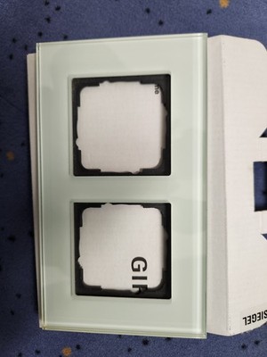 Gira Esprit 2 fach Glasrahmen mint 021218