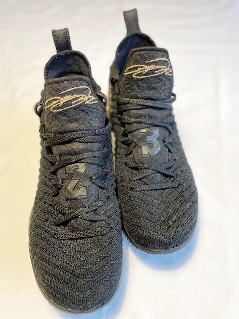 Size 10 - Nike LeBron 16 I'm King 2018 