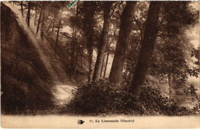 AK Le Limousine Illustrre - Bohrer - Waldszene (1039686)
