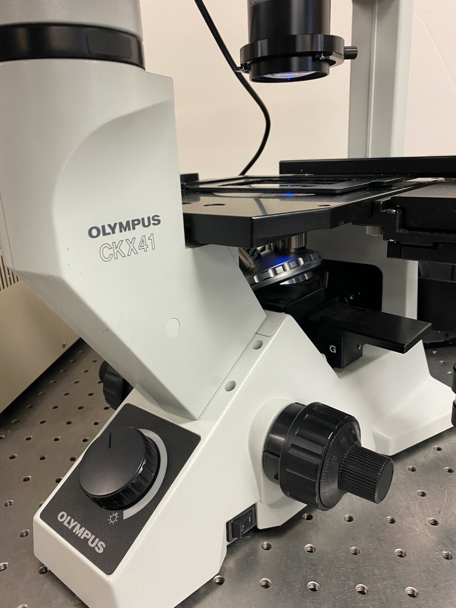 Olympus CKX41 Fluorescence Phase Contrast Inverted Olympus CKX41 Fluorescence Phase Contrast Inverted