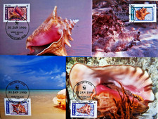 Fechterschnecke  -  4  Maximumkarten  von  Nevis,  1647,