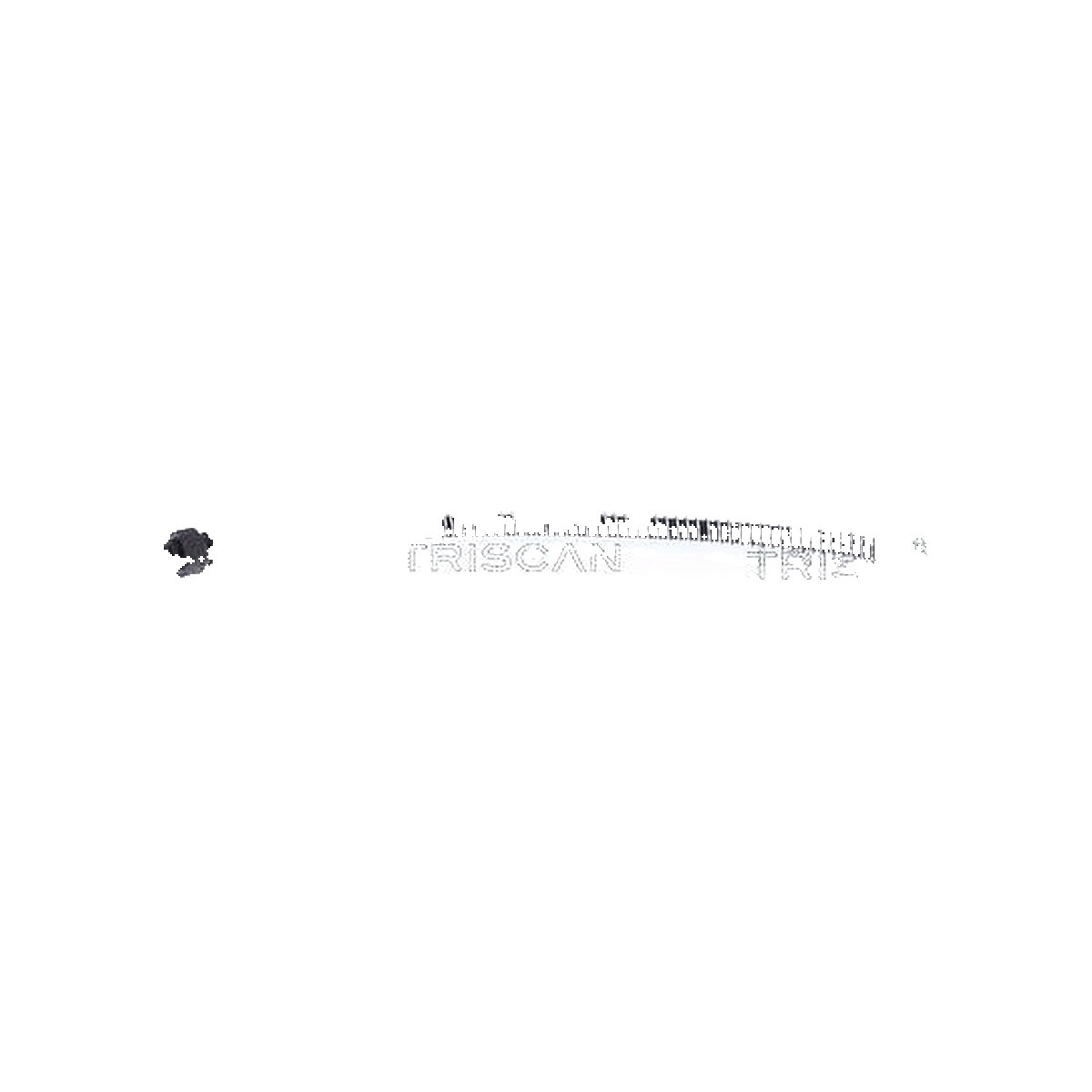 Bremsschlauch 8150 28122 TRISCAN für CITROËN PEUGEOT - Bild 3