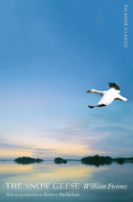 The Snow Geese by William Fiennes Paperback