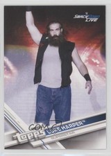 2017 Topps WWE Mr Brodie Lee Luke Harper #49 g9z