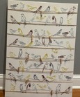 IKEA Pjatteryd Canvas Picture Of Birds In Hangers  PSZ 19 3/4 X 27 1/2 — photo 1