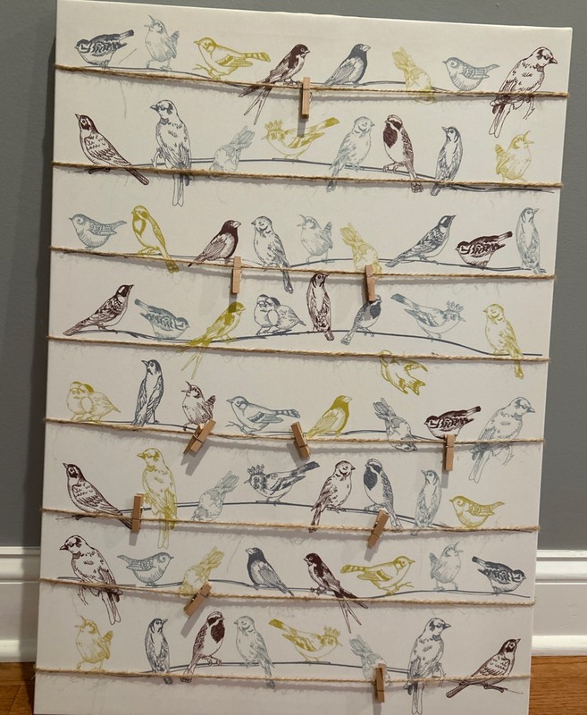 IKEA Pjatteryd Canvas Picture Of Birds In Hangers  PSZ 19 3/4 X 27 1/2