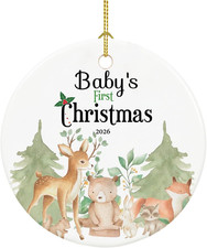 Baby's First Christmas Ornament 2026,Babys First Christmas Ornament for Girl,Boy