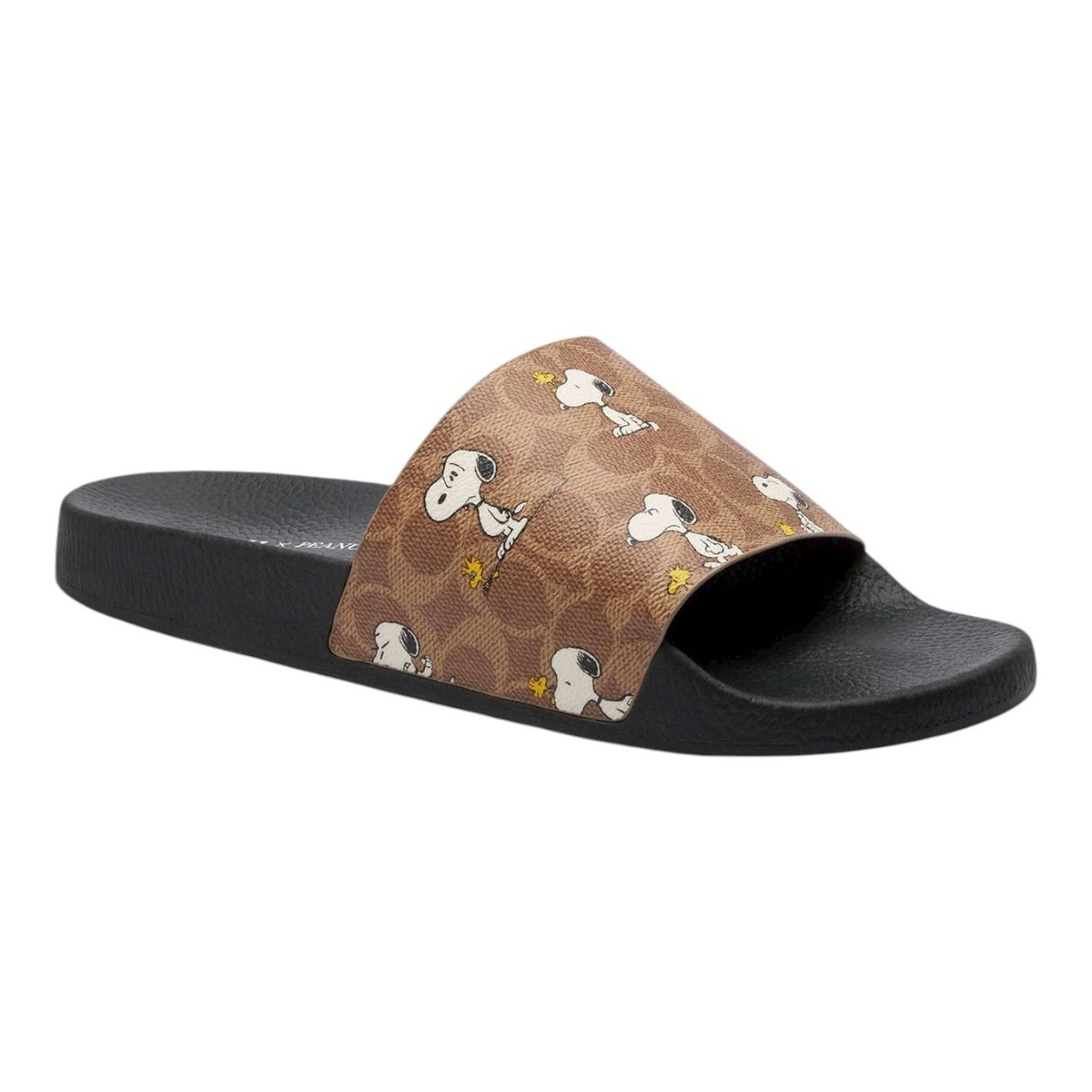 Coach X Peanuts Pool Slide In Signature Canvas With Snoopy Print