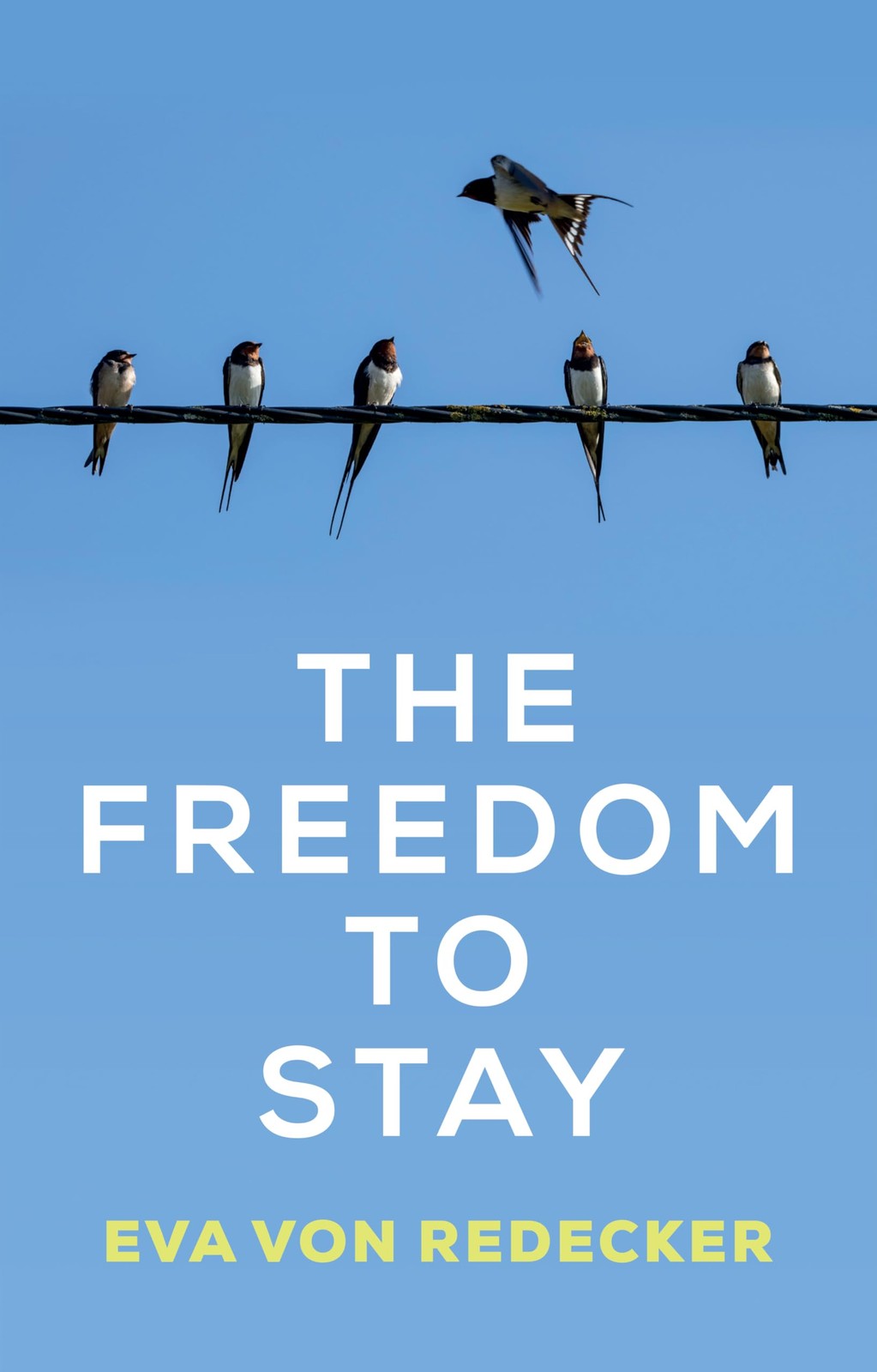 The Freedom to Stay by Eva  von Redecker (Paperback Book) - Image 5