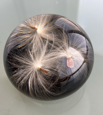 Handcrafted Dandelion Seed Paperweight Resin Globe Tarax Infinity Canada Vintage