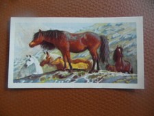 Brooke Bond "British Wildlife" 1958 original tea-card No.2,  cv0.50p 2016.
