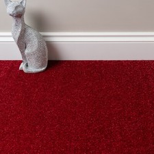 Carpet Cheap Carpets Twist Pile Carpet Feltback Carpet - Lounge Bedroom