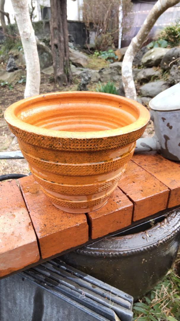 Large good terra cotta 25cm 