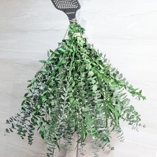 3kinds Natural Eucalyptus Stems 36PCS - 17inch Eucalyptus Set for Shower Bund...