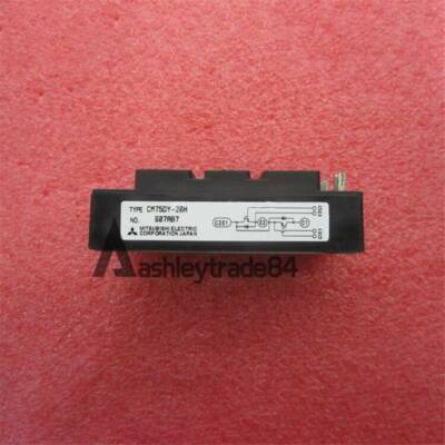 NEW 1PCS CM75DY-28H   MODULE CM75DY28H #W6