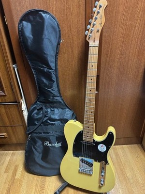 Bacchus BTE-1-RSMM Telecaster Safe packing!