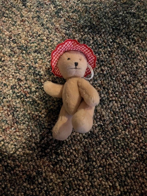 Bitty Baby doll and teddy bear in matching red hats!