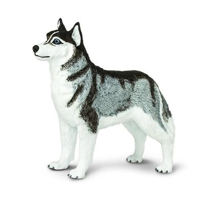 #ad Safari Ltd. Siberian Husky Figurine Detailed 3.25quot; Plastic Model Figure F... $12.15