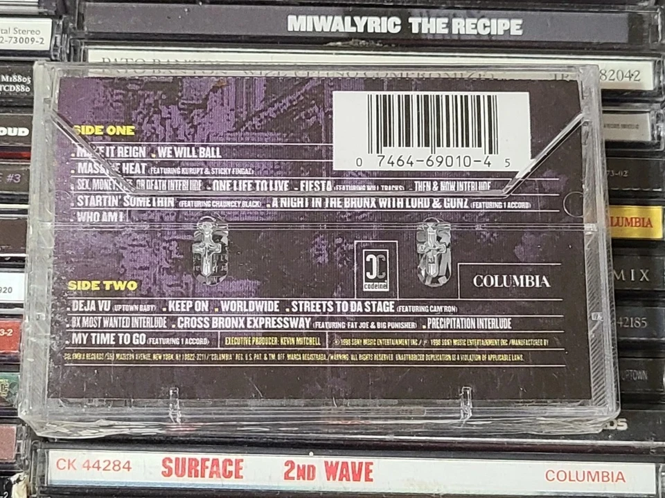 Lord Tariq & Peter Gunz Make It Reign Cassette New Sealed - Image 2 of 3