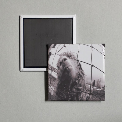 Pearl Jam - Vs. Album Cover Locker Fridge Magnet