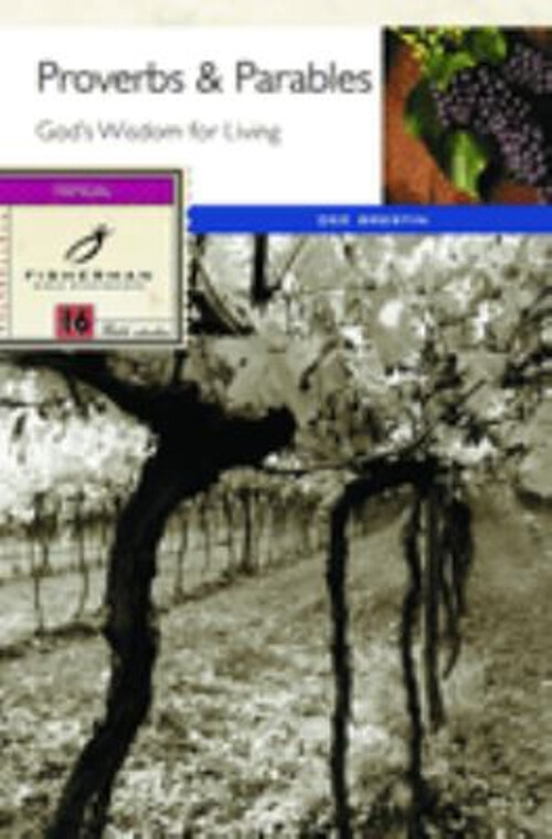 Proverbs and Parables : God's Wisdom for Living Paperback Dee Bre