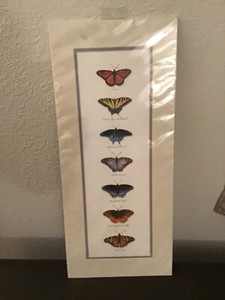 2009 New old stock Butterfly Print Poster Cape Hatteras Lighthouse Gift Shop