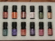 New Aromatherapy Essential Oils Set of 12 Pack Holiday Scents 