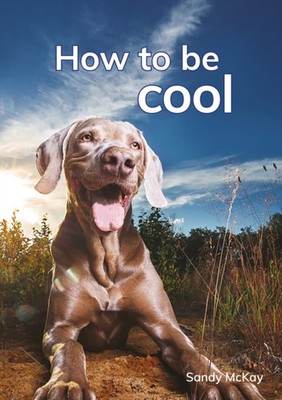 HOW TO BE COOL by MCKAY, SANDY Paperback Self Help Business