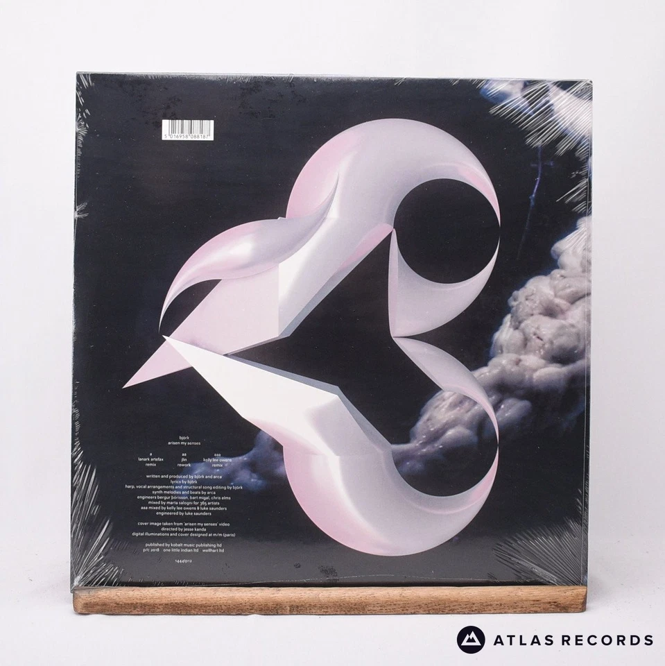 Björk Arisen My Senses Slug Genital Coloured 12" Single Vinyl Record - NEW - Image 3 of 4