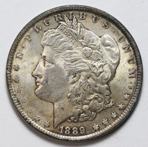 1889 $1 Morgan Silver Dollar Uncirculated BU - RAW - Toned - Lustrous