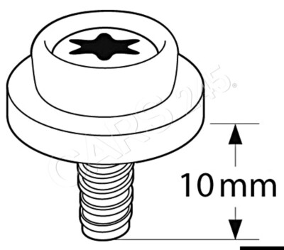CAF-COMPO Universal-Composite-Schraubbolzen weißes Gewinde 10 mm 10 Stück