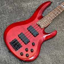 BanG Dream! BTL LISA Owari Komaki Store