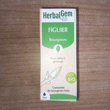 FIGUIER BOURGEONS FRAIS DE FIGUIER ( FICUS CARICA L. GEMMAE ) 30 ML - NEUF - BIO