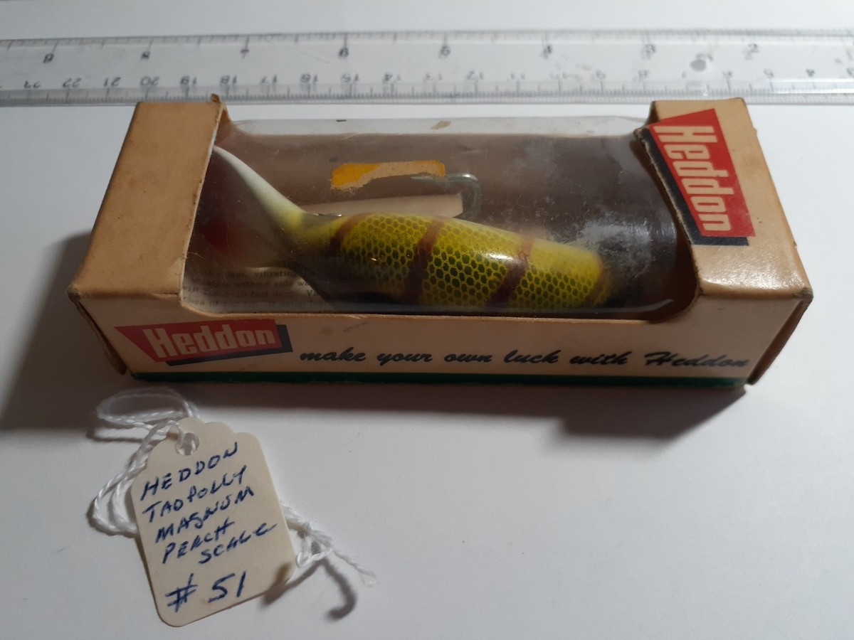 Vintage Heddon Magnum Tadpolly Perch Scale Fishing Lure with Box