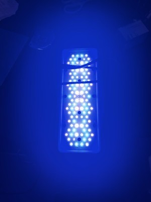 EcoTech Marine - Radion XR30 G5 Blue LED Light Fixture