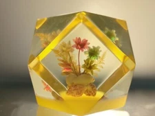 Vintage Facet Lucite Paperweight w/ Flowers Shell Inside
