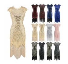 New 1920s Sequin Fringed Cocktail Party Great Gatsby Costume Flapper Dress