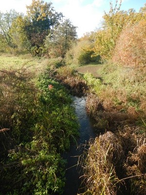 Foto 6x4 Stratford Old River Dedham Stratford Old River oben wo es r c2018